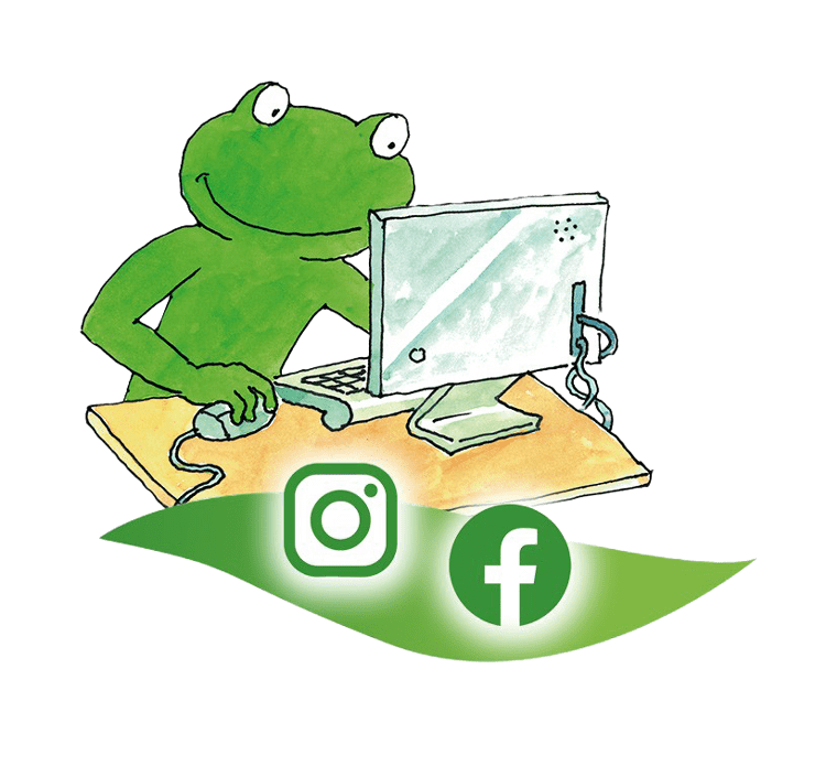 Frosch am Computer – Social Media